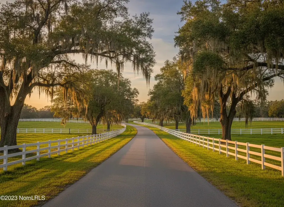 Horse-farm fences and live oaks along a rural road in Marion County, Florida
